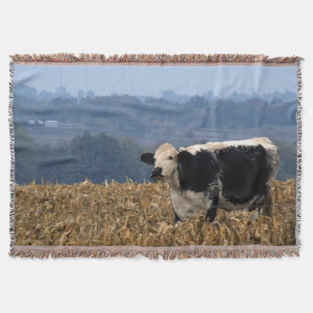 Black and White Cow grazes in freshly plowed field Throw Blanket (Front)
