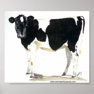 black and white cow poster