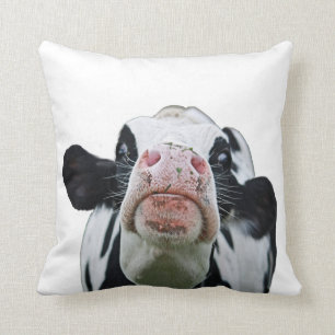 Black and white cow throw pillow