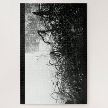 Black and White Crane Puzzle