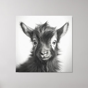 Black and White Cute Baby Goat Photo Canvas Print