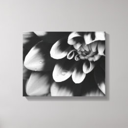Black and White Dahlia Flower Blossom Canvas Print