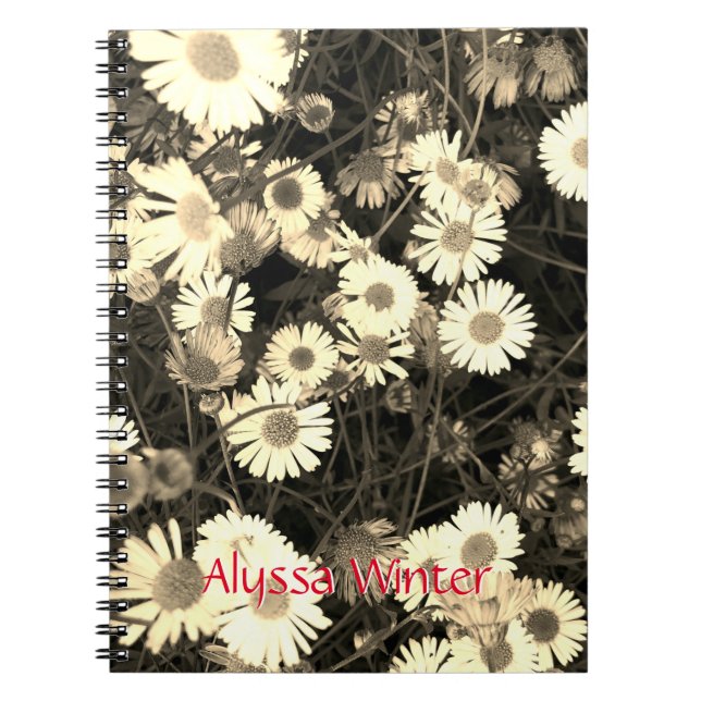 Black and white daisy photograph  notebook (Front)