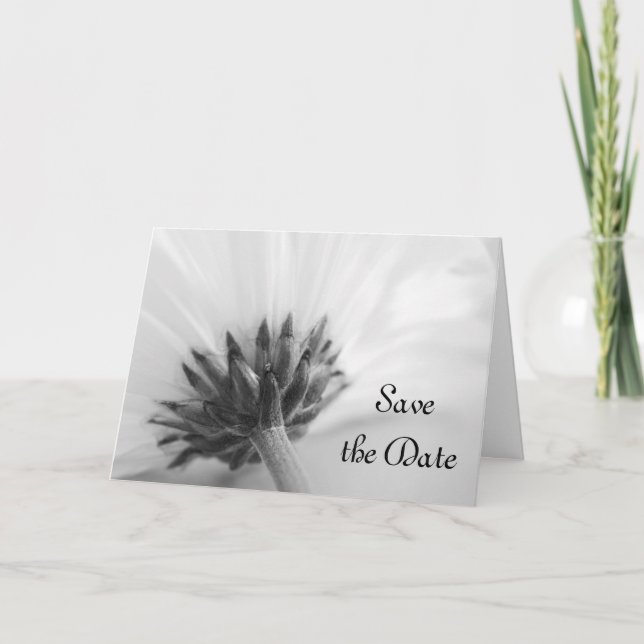 Black and White Daisy Wedding Save the Date Announcement (Front)