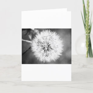 Black and White Dandelion Card