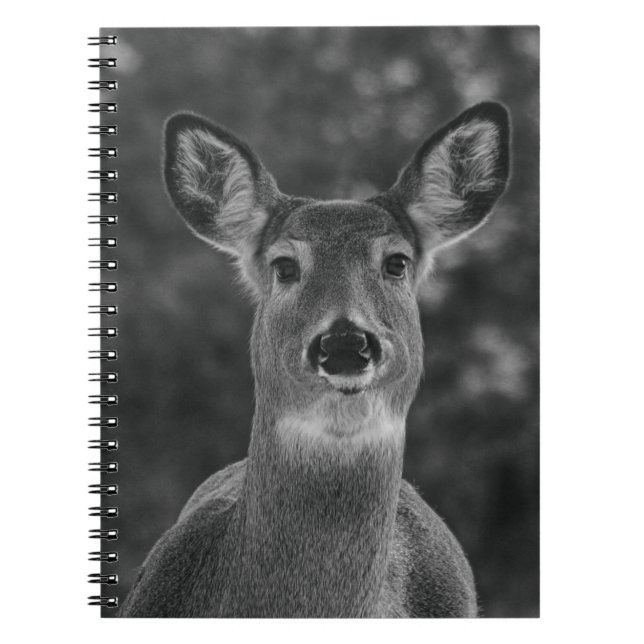Black And White Deer Face  Notebook (Front)