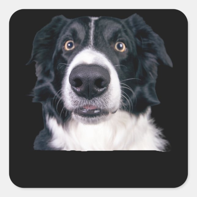 Black and White Dog Face Square Sticker (Front)