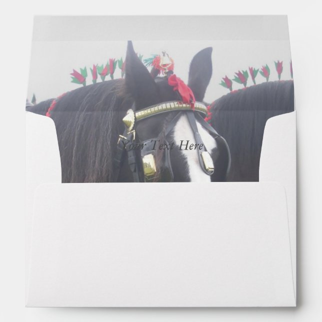 Black and white dray horse in colourful tack photo envelope (Back (Bottom))