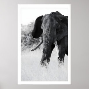 Black and White Elephant Print - Minimalist