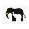 Black and White Elephants