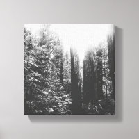 Black and White Enchanted Forest