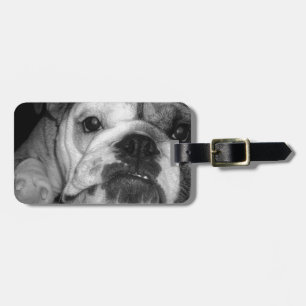 Black and White English Bulldog Puppy Luggage Tag