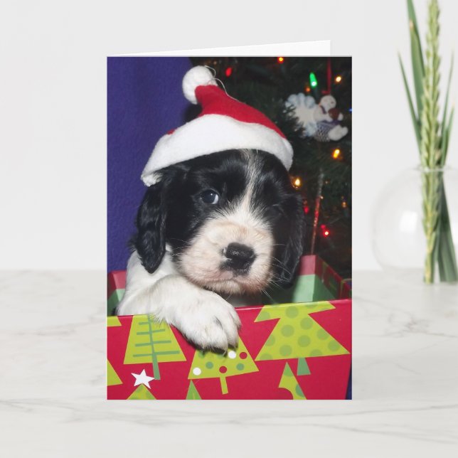 Black and White English Springer Spaniel Christma Holiday Card (Front)
