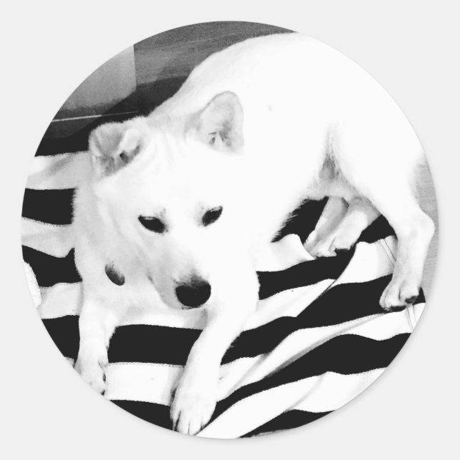 Black and White Eno Sticker (Front)