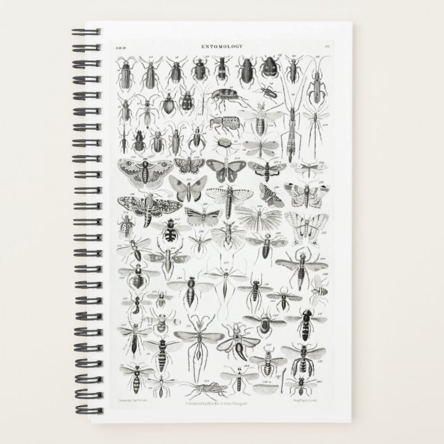 Black and White Entomology Insects Bugs Planner (Front)