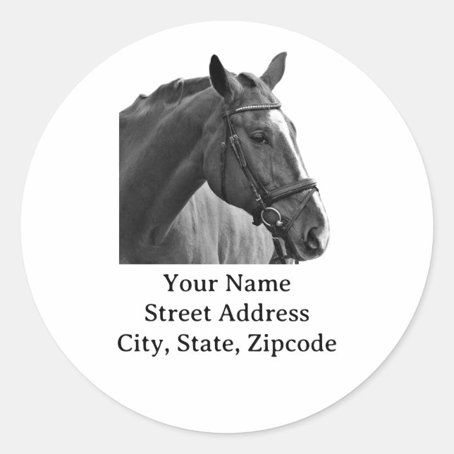 Black and White Equestrian Classic Round Sticker (Front)