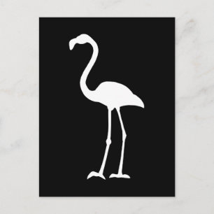 Black and White Flamingo Postcard