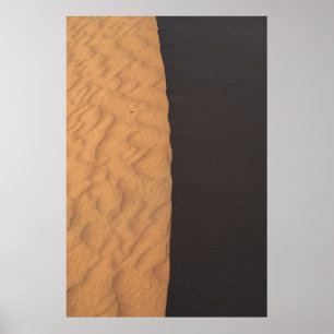 Black and white floral textile poster