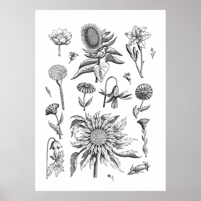 Black and White Flower and Plants Poster (Front)