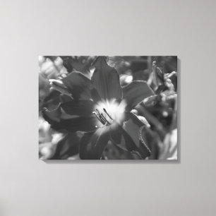 Black and white flower canvas print