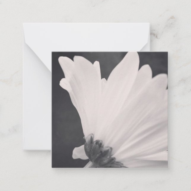 Black and White Flower Note Card with Blank Side (Front)