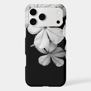 Black and White Flower Photography