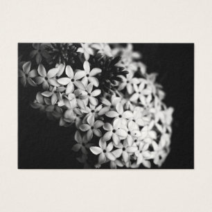 Black and White Flowers