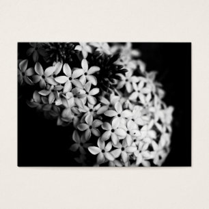 black and white flowers