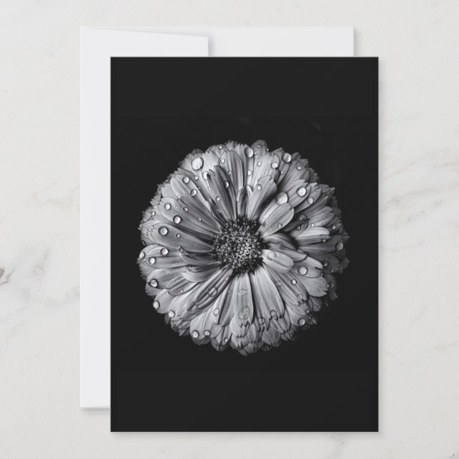 Black And White Flowers 10 (Front)