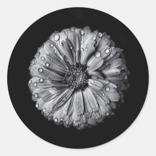 Black And White Flowers 10 Classic Round Sticker