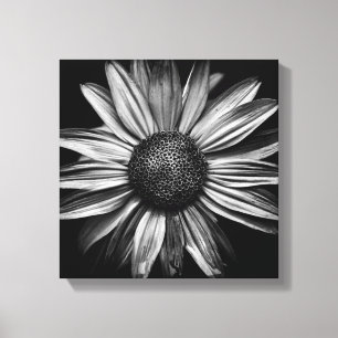 Black And White Flowers 18 Canvas Print