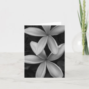 Black and White Flowers Folded Greeting Card