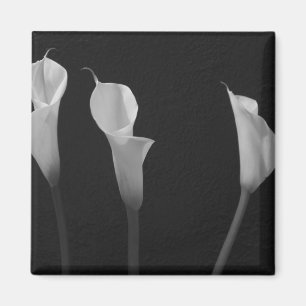 Black and White Flowers Magnet