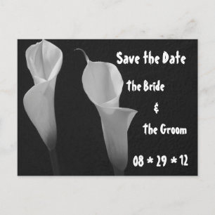 Black and White Flowers Postcard