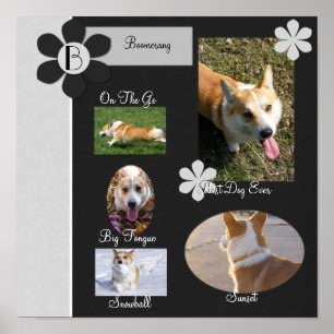 Black and White Flowers Scrap Book Page Poster