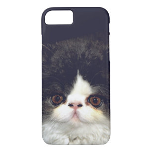 Black and white fluffy kitten Case-Mate iPhone case