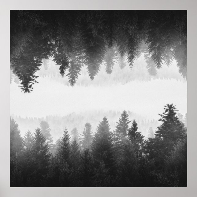Black and white foggy mirrored forest poster (Front)