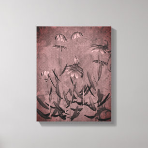 Black And White Framed Daisies Floral Art Canvas Print
