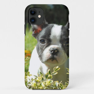 Black and White French Bull Dog Puppy iPhone 11 Case
