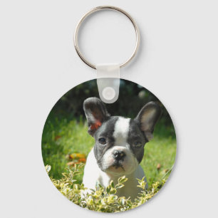 Black and White French Bull Dog Puppy Keychain