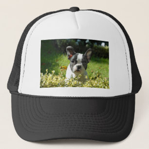Black and White French Bull Dog Puppy Trucker Hat