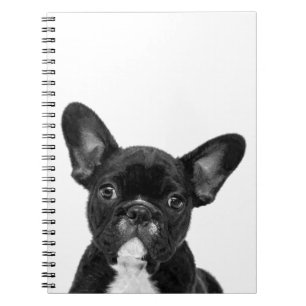 Black and White French Bulldog Portrait Notebook