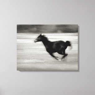 Black and White Galloping Horse Canvas Print