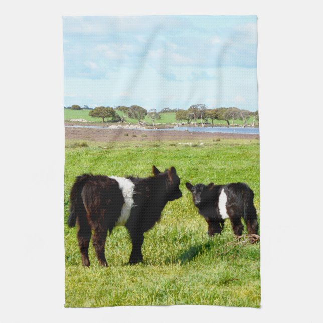Black And White Galloway Calves, Kitchen Towel (Vertical)
