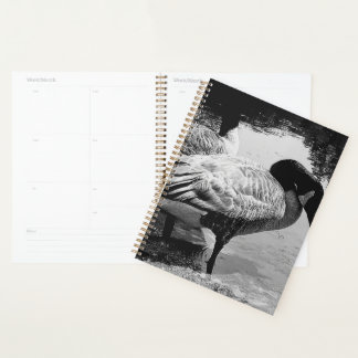 Black and White Geese Quiet Moment by the Lake Planner