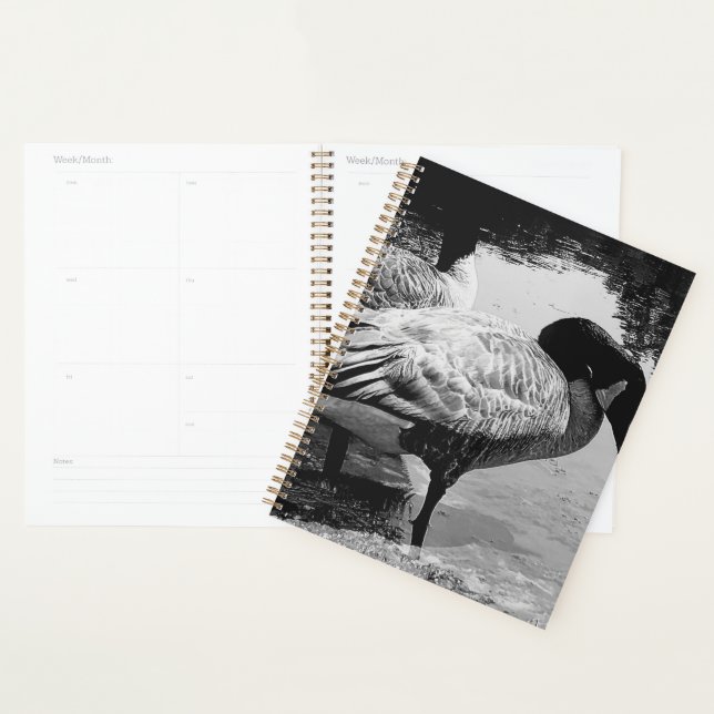 Black and White Geese Quiet Moment by the Lake Planner (Display)