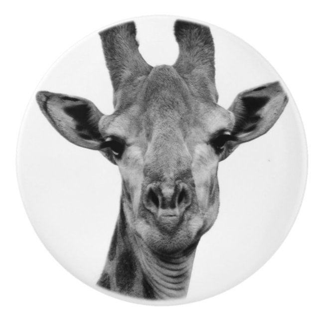 Black and White Giraffe Photograph Ceramic Knob (Front)