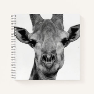 Black and White Giraffe Photograph Notebook