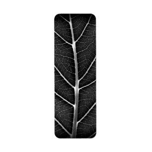 Black and White Glowing Leaf Close-Up