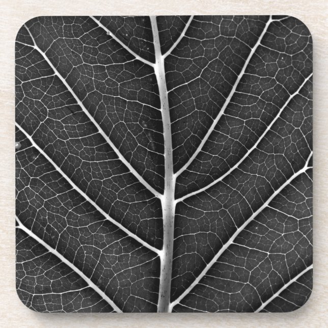 Black and white glowing leaf close-up coaster (Front)